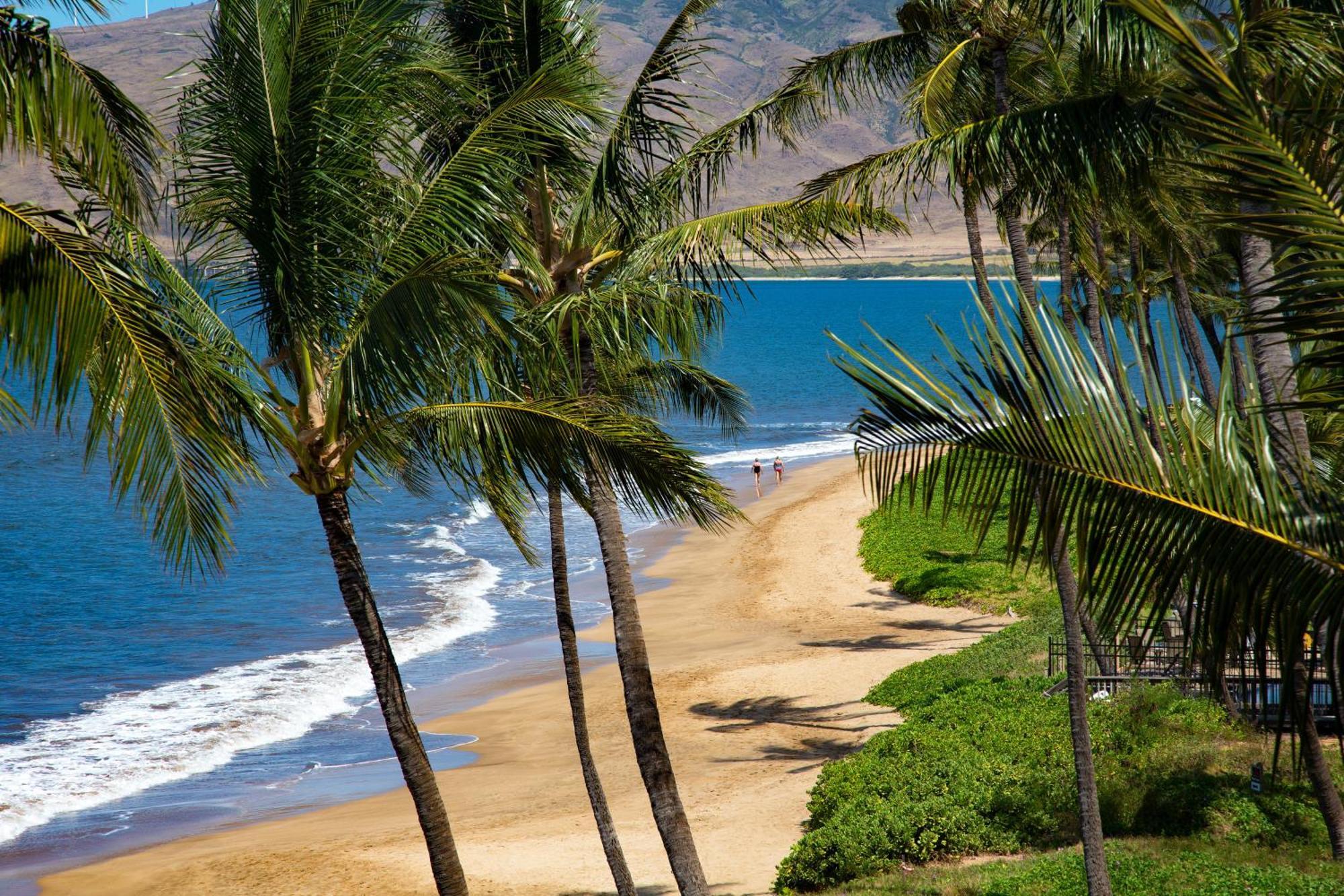 Nani Kai Hale Apartment Kihei Cameră foto